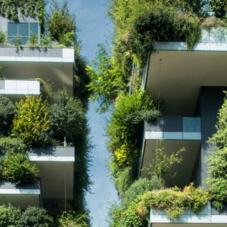 bCompétences : Aménager en bas carbone